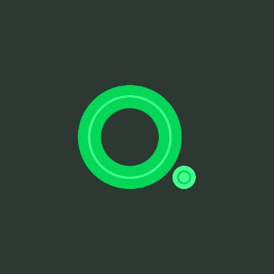 qudraIO's profile picture. Transforming visions into code.