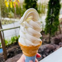 みんとも (@tomomintea12) 's Twitter Profile Photo