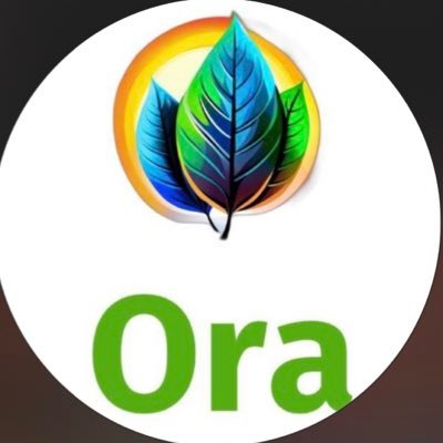 we are ora combany , nabri factory 🏭 to export Egyptian products #fresh #dried