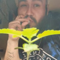 Chaddy Daddy (@thechad92) 's Twitter Profile