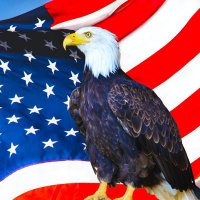 Deplorable Garbage (@deplorabetaxpyr) 's Twitter Profile