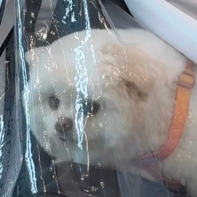 xx_ladydior_xx's profile picture. 躁鬱人生