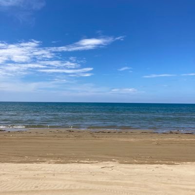 R17Tuberose's profile picture. お笑い（漫才も寄席も）好き　ひとりでこれ、と思ったところに行くようにしてる　最近虎党になりました