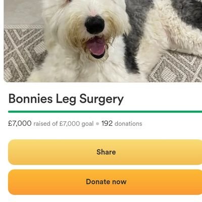 please donate to my Bonnie's Leg surgery https://t.co/wdTEtXkBng