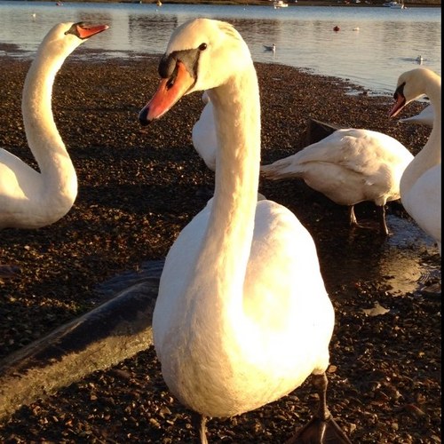 michaelracraig's profile picture. 