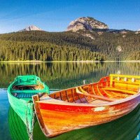 هادي 💚💚💚🤍❤🤍❤🤍❤🤍🖤🖤🖤 (@goldenmons56630) Twitter profile photo