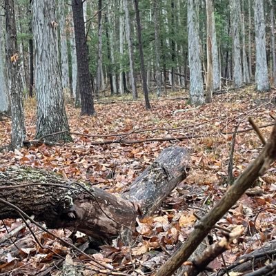 Christ is King,🐕 rock, 🏕 🥾 🎣 hunting, coffee, ➡️Married↙️