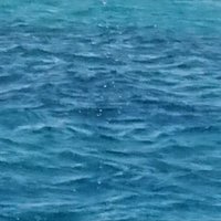 Astrid Herff (@astridherff) 's Twitter Profile