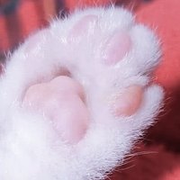 ミグ=コジロ (@mystrangegarden) 's Twitter Profile