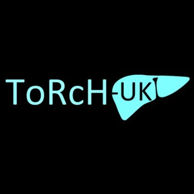 uk_torch Profile Picture