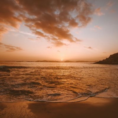 alhmod99's profile picture. 