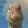 pra_isdone's profile picture. allergic aversion to emotions
(alt//@PrakS_16)