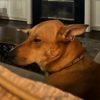 HatChaser (@hatchaser) 's Twitter Profile