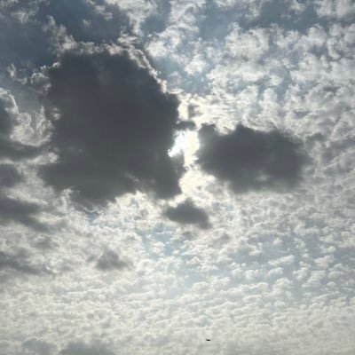 xo_liii1's profile picture. "و آنِس يارب خطوتي بالنُور".