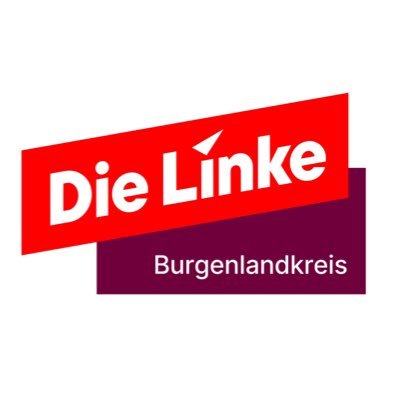 Die Linke Burgenlandkreis Profile