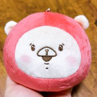 ritton🐻‍❄️プロカ必読 (@ritton_12) 's Twitter Profile