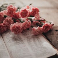 Sra del buen vivir (@sradelbuenvivir) 's Twitter Profile