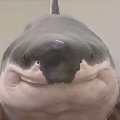 KINGLMAO16's profile picture. DEEZ NUT