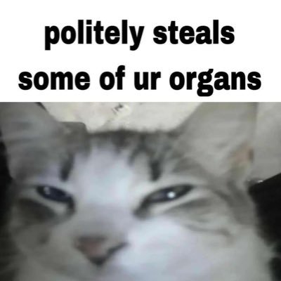 WW1crackshot's profile picture. 