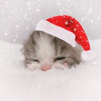hum spoingle (@humspoingle) 's Twitter Profile Photo hum spoingle (@humspoingle) 's Twitter Profile Photo