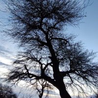 Alejandro Rabinovich (@alejandrorabin5) 's Twitter Profile Photo