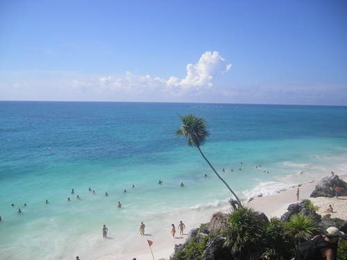 travelingliving's profile picture. 