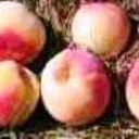 norma larson - @normalarson1 - Twitter