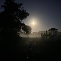 a howling wind (@allthatisol) 's Twitter Profile