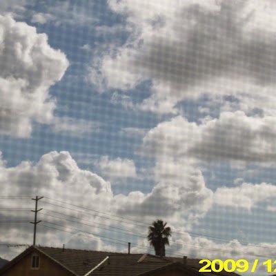 Rockyraccoon710's profile picture. 