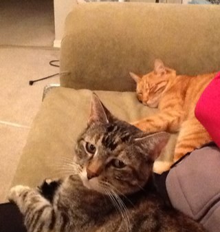 dalec76's profile picture. 