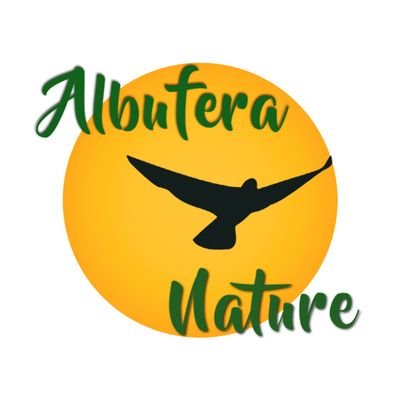 Empresa dedicada al ecoturismo sostenible en el Parque Natural de la Albufera. Empápate de cultura, date un baño de vida. Contacto: 600 545 414