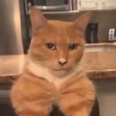 maarshalker's profile picture. Radical Papist Progressive.
Pennsylvania Patriot.
