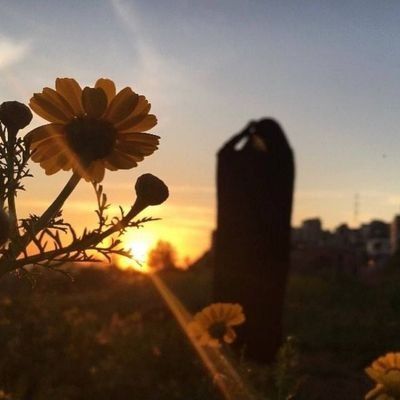 ✨با افتخار بسیجی ام✨
مسلمانِ علی؛سربازِ سیّدعلی✨
مردادماهی،کنشگراجتماعی،مشاور،چادری