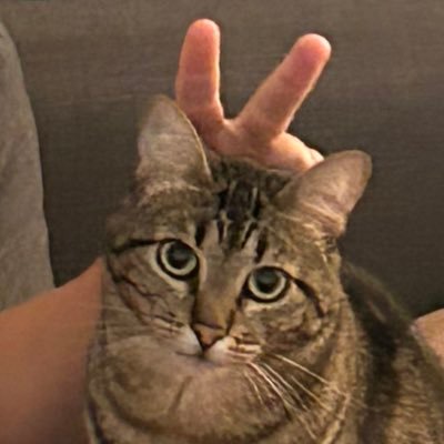 _HASHKH's profile picture. Historien tu connais