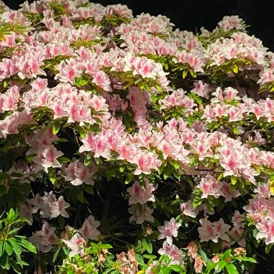 jedialiens's profile picture. religions are unnecessary and the cause of endless wars ,deaths and destruction