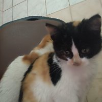 Usaral11 (@oassss) 's Twitter Profile
