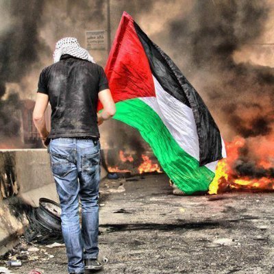 abdlali_ouaad's profile picture. Palestine forever