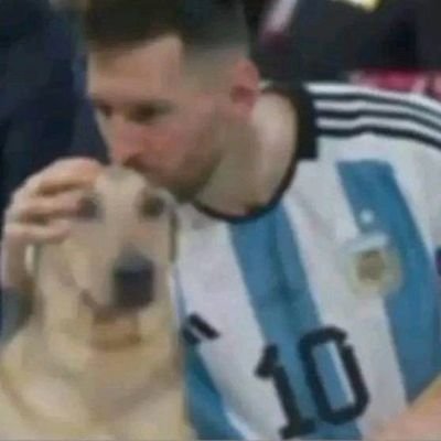 la plata skyler