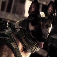 Riley (@codbestdog) 's Twitter Profile