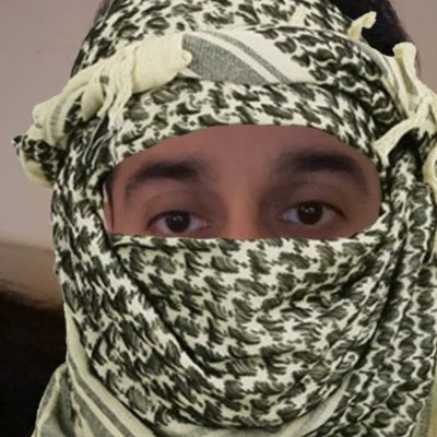 VSheekh's profile picture. editor at New York Times