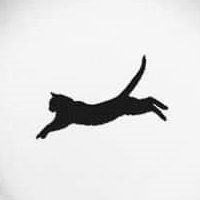 wildcard_wild's profile picture. 