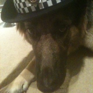 TammyGill43's profile picture. 