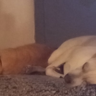 JCruz71011's profile picture. 