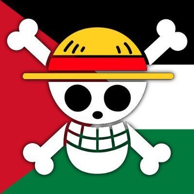The ICJ says Palestine is being illegally occupied. Free Palestine!