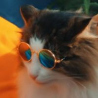 Nok (@nok_zyn) 's Twitter Profile Photo Nok (@nok_zyn) 's Twitter Profile Photo