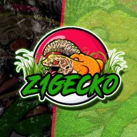 z1GeckoYT(@z1Gecko) 's Twitter Profile Photo