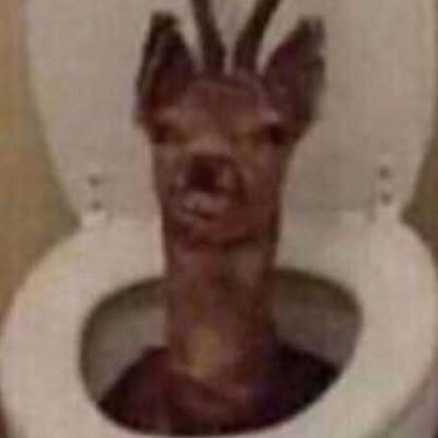 KodiLaird41800's profile picture. 
