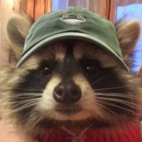 Guillem (@miscribble) 's Twitter Profile