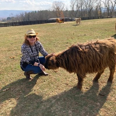 wife, mother, painter, crafter and craft store  and fluffy little cow addict. Go Hokies!