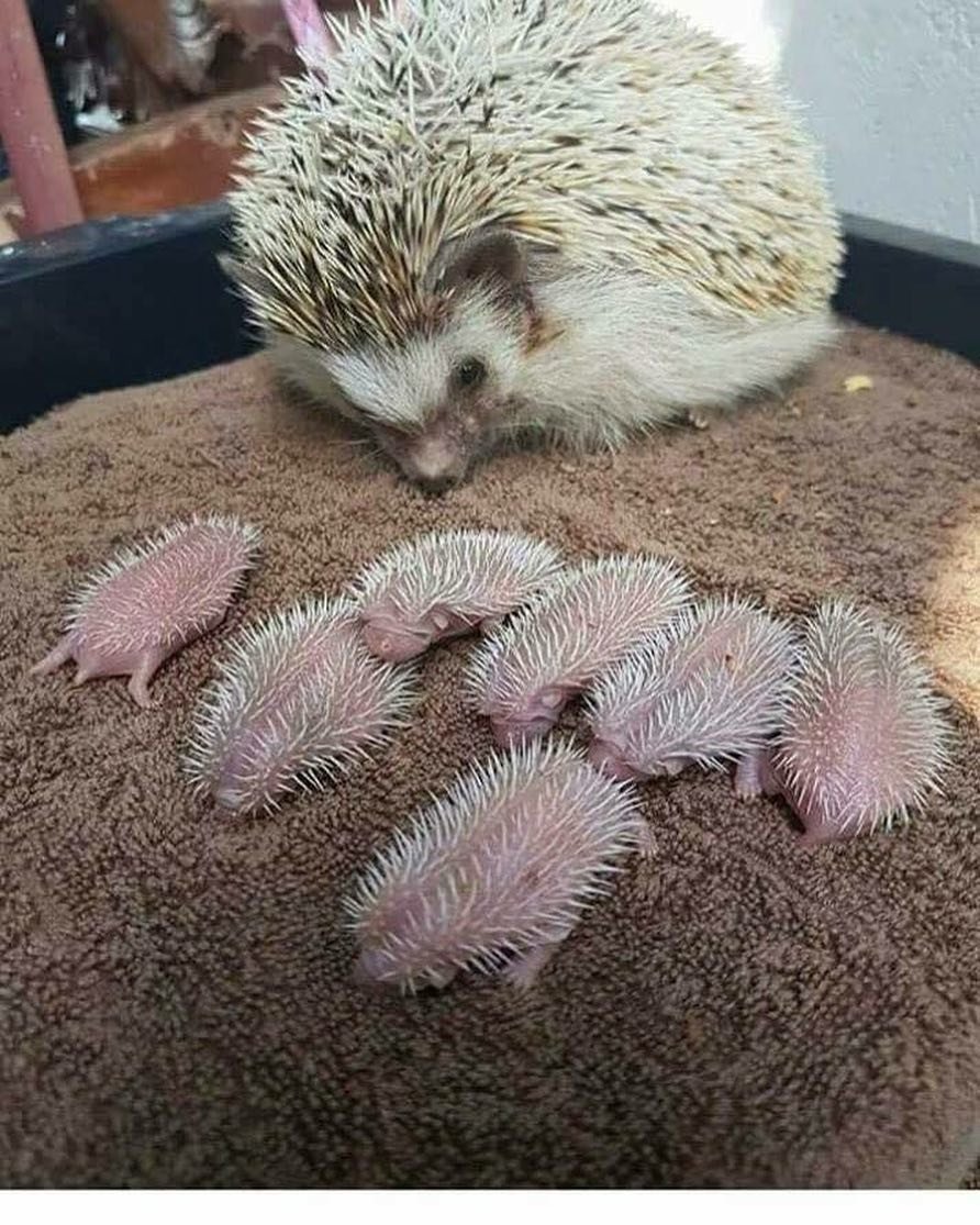 Michell54867845's profile picture. Exploring the depths of blockchain magic, unraveling the potential of DeFi. Tokenomics enthusiast, NFT aficionado, and avid crypto trader. Join me on this decen